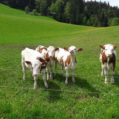 Vila Bio-Bauernhof Niederlehen Fieberbrunn Exteriér fotografie